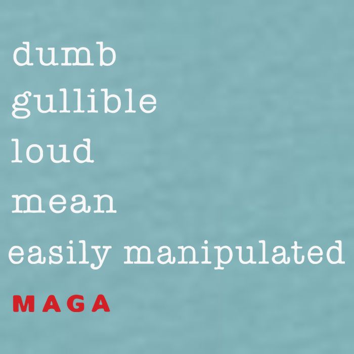 Dumb Gullible Loud Mean Easily Manipulated Maga Sueded Cloud Jersey T-Shirt