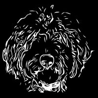 Doodles Goldendoodle Labradoodle Line Drawing Gift 16 in Basic Backpack