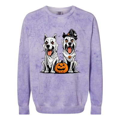 Dog Ghost Mummy Dog Lover Matching Family Gift Funny Halloween Colorblast Crewneck Sweatshirt