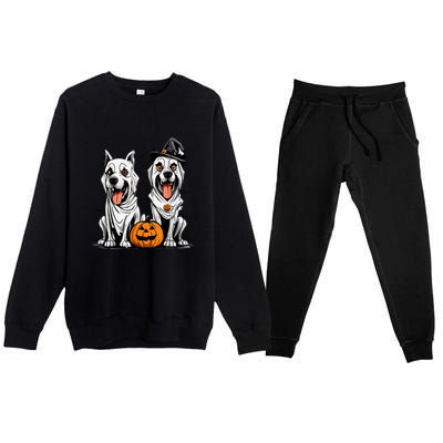 Dog Ghost Mummy Dog Lover Matching Family Gift Funny Halloween Premium Crewneck Sweatsuit Set