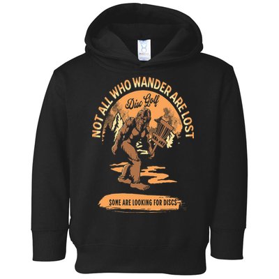Disc Golf  Not All Who Wander Are Lost Funny Sarcastic Toddler Hoodie