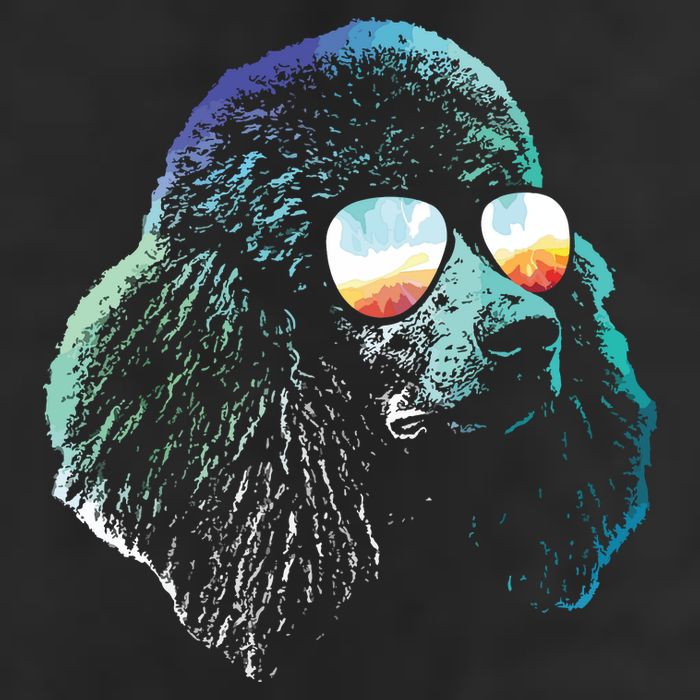 Disco Groovy Poodle Dog Gift 7 Panel Mesh Trucker Snapback Hat