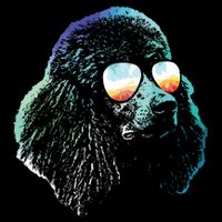 Disco Groovy Poodle Dog Gift City Backpack