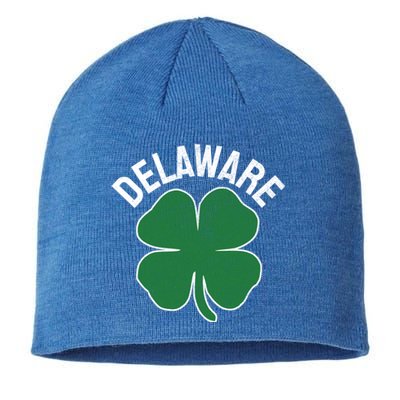 Delaware Gift St Patricks Day Shamrock Irish Gift Sustainable Beanie