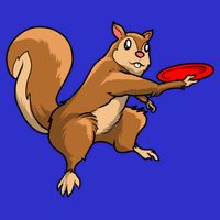 Disc Golf Squirrel Frolf Frisbee Golf Disc Gift Kids Hoodie
