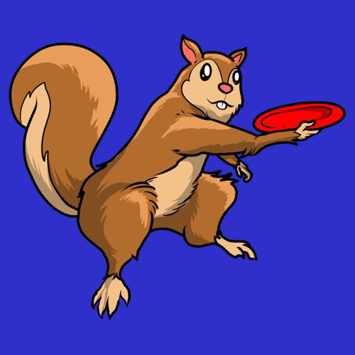 Disc Golf Squirrel Frolf Frisbee Golf Disc Gift Kids Hoodie