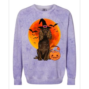 Dog Halloween Boykin Spaniel Jack O Lantern Pumpkin Colorblast Crewneck Sweatshirt