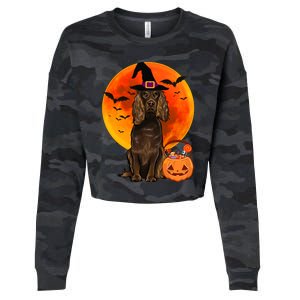 Dog Halloween Boykin Spaniel Jack O Lantern Pumpkin Cropped Pullover Crew