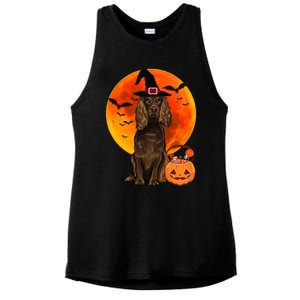 Dog Halloween Boykin Spaniel Jack O Lantern Pumpkin Ladies PosiCharge Tri-Blend Wicking Tank