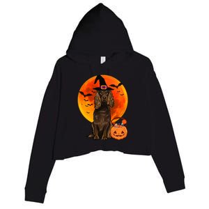 Dog Halloween Boykin Spaniel Jack O Lantern Pumpkin Crop Fleece Hoodie