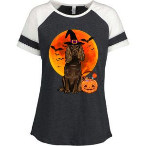 Dog Halloween Boykin Spaniel Jack O Lantern Pumpkin Enza Ladies Jersey Colorblock Tee