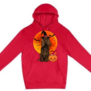 Dog Halloween Boykin Spaniel Jack O Lantern Pumpkin Premium Pullover Hoodie