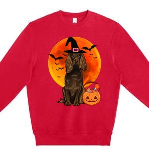 Dog Halloween Boykin Spaniel Jack O Lantern Pumpkin Premium Crewneck Sweatshirt