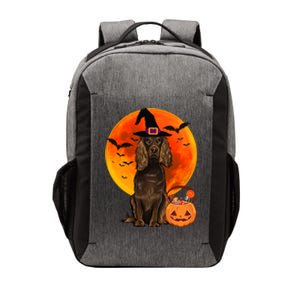 Dog Halloween Boykin Spaniel Jack O Lantern Pumpkin Vector Backpack