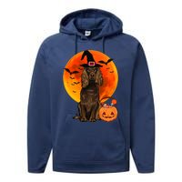 Dog Halloween Boykin Spaniel Jack O Lantern Pumpkin Performance Fleece Hoodie