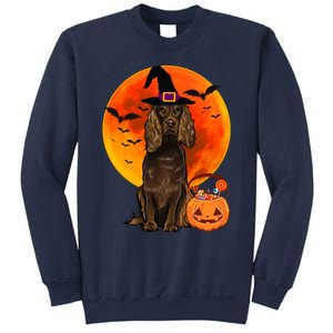 Dog Halloween Boykin Spaniel Jack O Lantern Pumpkin Sweatshirt