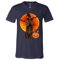 Dog Halloween Boykin Spaniel Jack O Lantern Pumpkin V-Neck T-Shirt