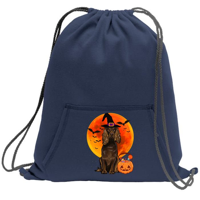 Dog Halloween Boykin Spaniel Jack O Lantern Pumpkin Sweatshirt Cinch Pack Bag