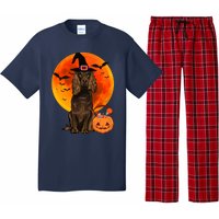 Dog Halloween Boykin Spaniel Jack O Lantern Pumpkin Pajama Set