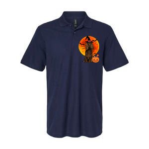 Dog Halloween Boykin Spaniel Jack O Lantern Pumpkin Softstyle Adult Sport Polo