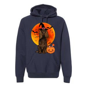 Dog Halloween Boykin Spaniel Jack O Lantern Pumpkin Premium Hoodie