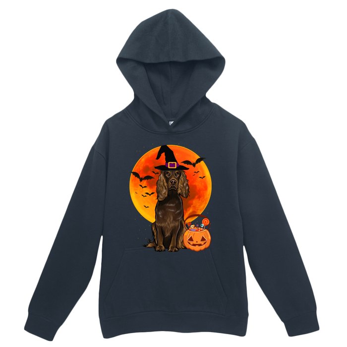 Dog Halloween Boykin Spaniel Jack O Lantern Pumpkin Urban Pullover Hoodie