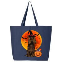 Dog Halloween Boykin Spaniel Jack O Lantern Pumpkin 25L Jumbo Tote