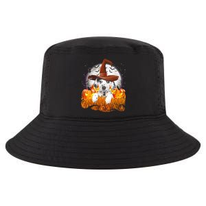 Dalmatian Halloween Cute Dog Witch On Halloween Pumpkin Gift Cool Comfort Performance Bucket Hat