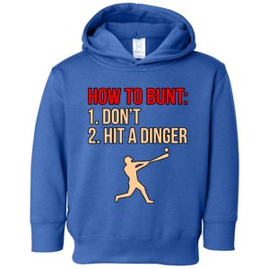 Don't Hit Dinger Baseball Player Sports Lover Coach Graphic Gift Toddler Hoodie