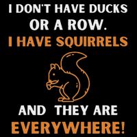 DonT Have Ducks In A Row I Have Squirrels Everywhere Funny Daily Commute Backpack