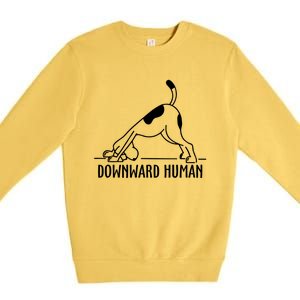 Downward Hu Dog Funny Yoga Workout Dog Lover Gift Premium Crewneck Sweatshirt