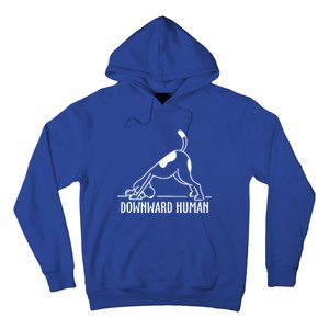 Downward Hu Dog Funny Yoga Workout Dog Lover Gift Hoodie