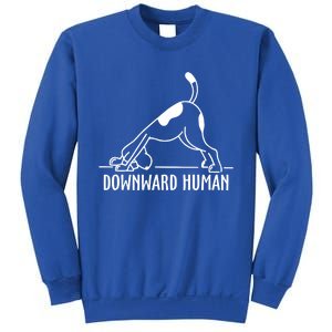 Downward Hu Dog Funny Yoga Workout Dog Lover Gift Sweatshirt