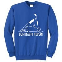 Downward Hu Dog Funny Yoga Workout Dog Lover Gift Sweatshirt