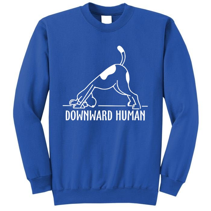 Downward Hu Dog Funny Yoga Workout Dog Lover Gift Sweatshirt