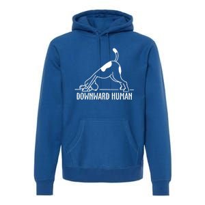 Downward Hu Dog Funny Yoga Workout Dog Lover Gift Premium Hoodie