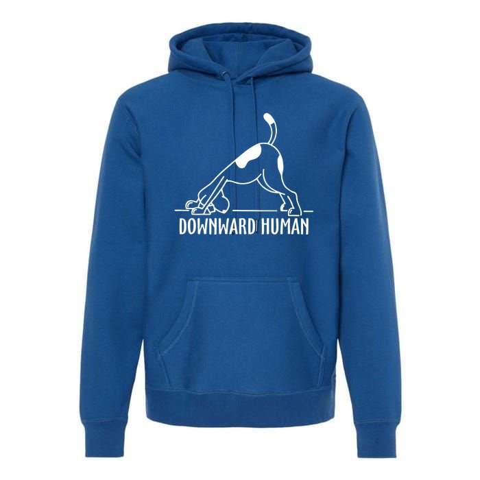 Downward Hu Dog Funny Yoga Workout Dog Lover Gift Premium Hoodie