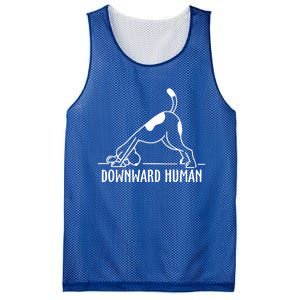 Downward Hu Dog Funny Yoga Workout Dog Lover Gift Mesh Reversible Basketball Jersey Tank