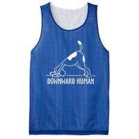 Downward Hu Dog Funny Yoga Workout Dog Lover Gift Mesh Reversible Basketball Jersey Tank