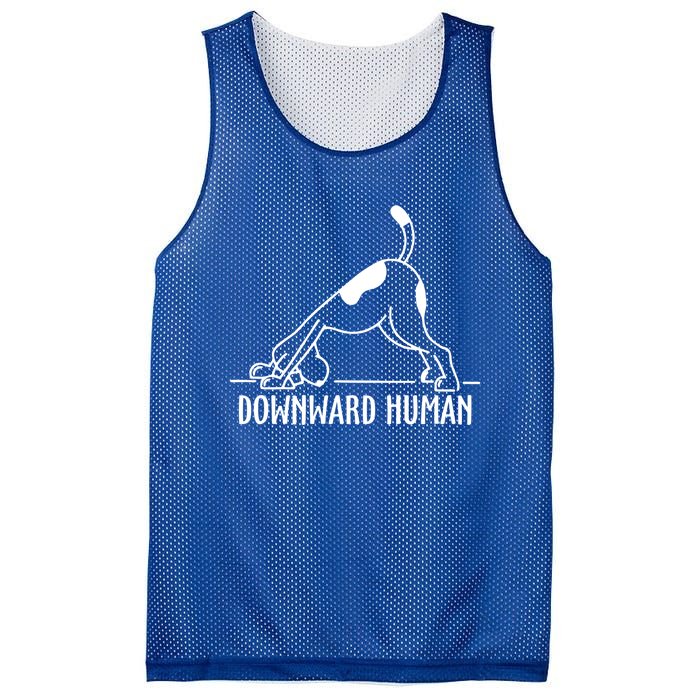 Downward Hu Dog Funny Yoga Workout Dog Lover Gift Mesh Reversible Basketball Jersey Tank