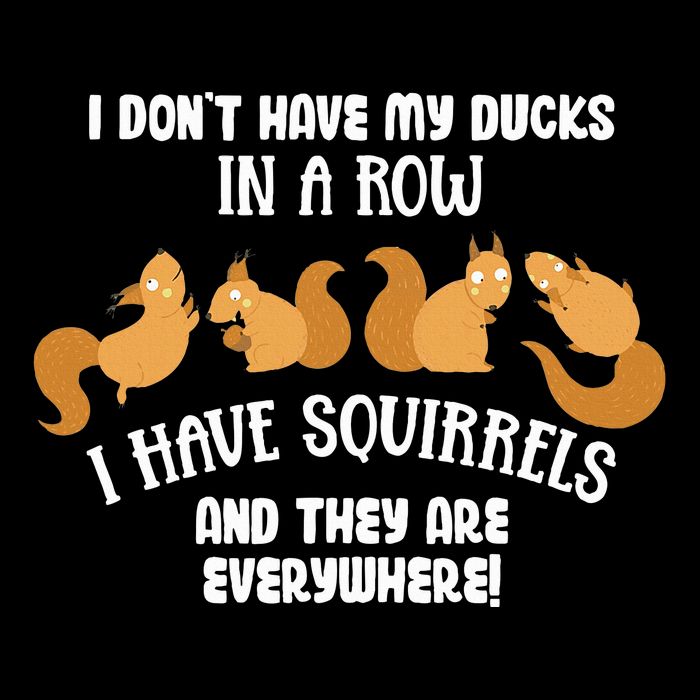 Dont Have Ducks In A Row I Have Squirrels Everywhere Daily Commute Backpack