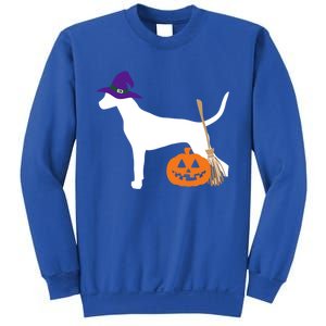 Dalmatian Halloween Dog Wearing Witch Hat Gift Sweatshirt