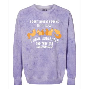 Dont Have Ducks In A Row I Have Squirrels Everywhere Funny Colorblast Crewneck Sweatshirt