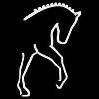 Dressage Horse Backpack