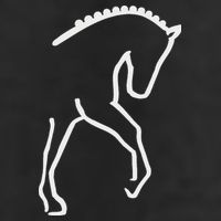 Dressage Horse 11oz C Handle Ceramic Mug