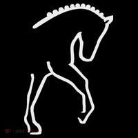 Dressage Horse 16 in Basic Backpack