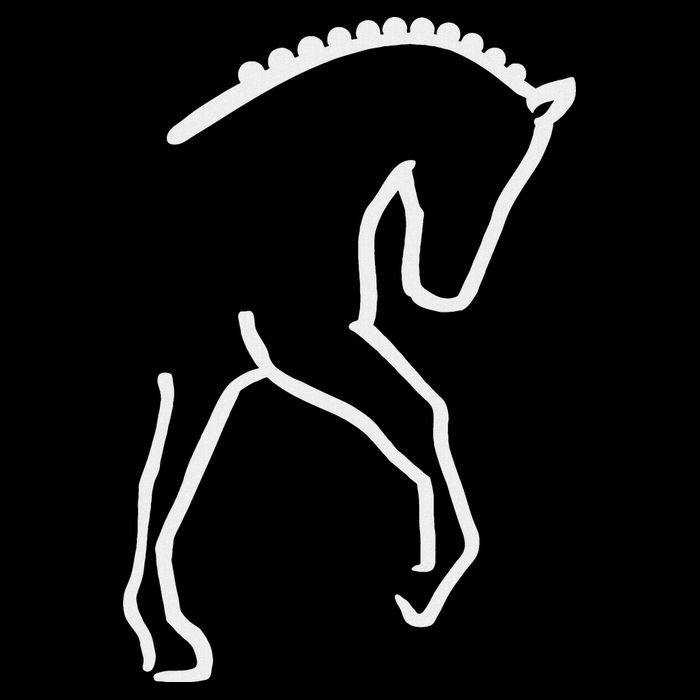 Dressage Horse Zip Tote Bag