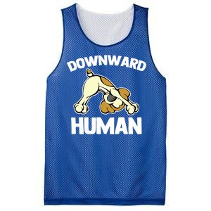 Downward Hu Gift Funny Yoga Dog Sarcastic Saying Cute Yoga Gift Mesh Reversible Basketball Jersey Tank