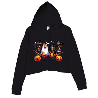 Dachshund Happy Halloweiner Funny Halloween Dogs Lover Crop Fleece Hoodie