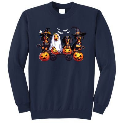 Dachshund Happy Halloweiner Funny Halloween Dogs Lover Tall Sweatshirt